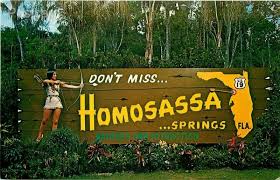 Homosassa, Florida entrance sign showing RexPest's pest control services in the local area